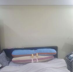 Blk 932 TAMPINES PALMSPRING (Tampines), HDB 5 Rooms #583453771